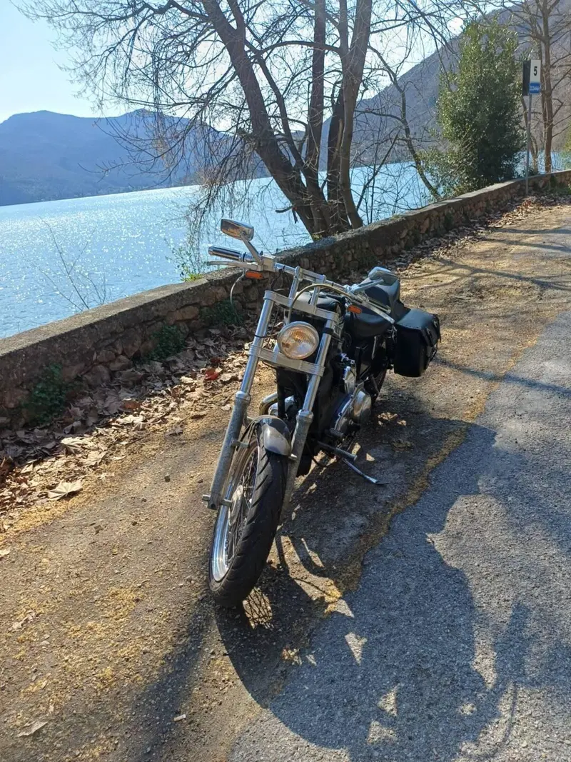 Harley-Davidson 883 Standard (1987 - 93) - XLH (7)