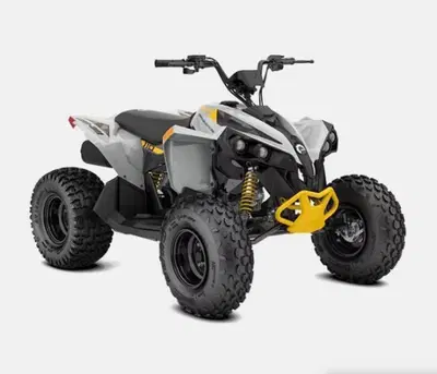  Altre moto o tipologie Quad nuova
