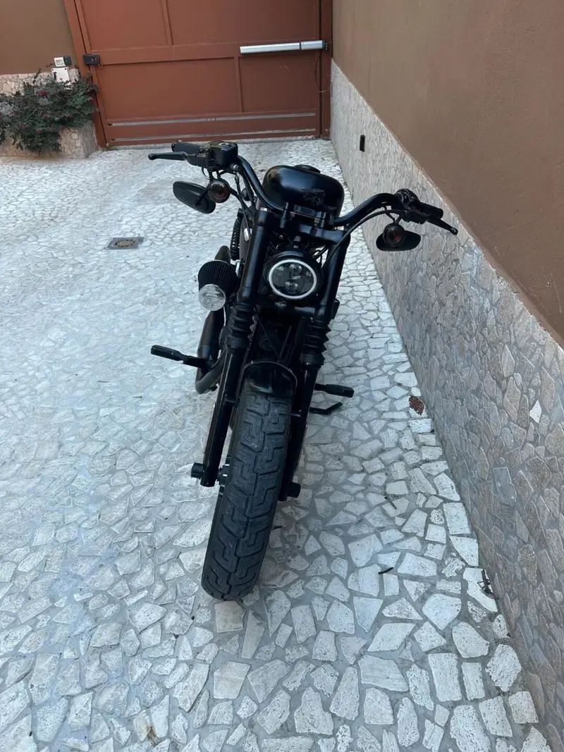 Harley-Davidson 883 Iron (2012 - 14) - XL 883N (6)