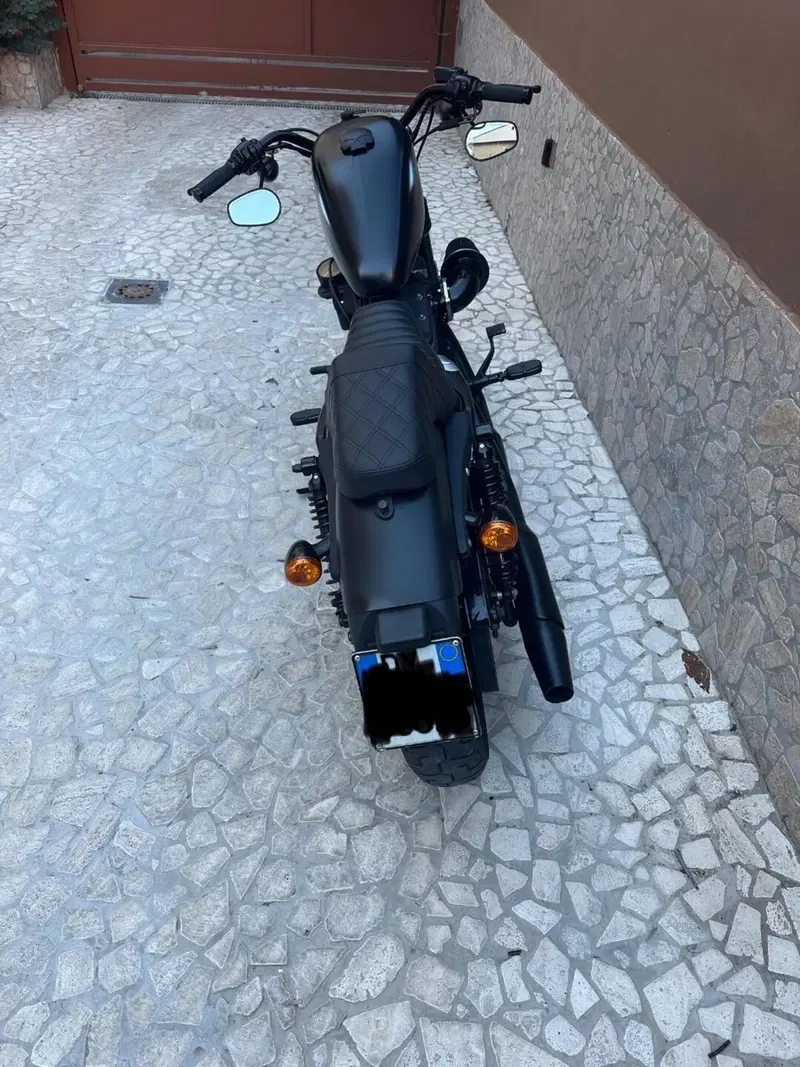 Harley-Davidson 883 Iron (2012 - 14) - XL 883N (7)