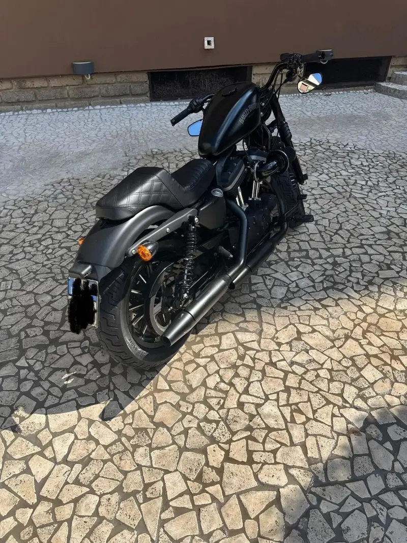 Harley-Davidson 883 Iron (2012 - 14) - XL 883N (8)