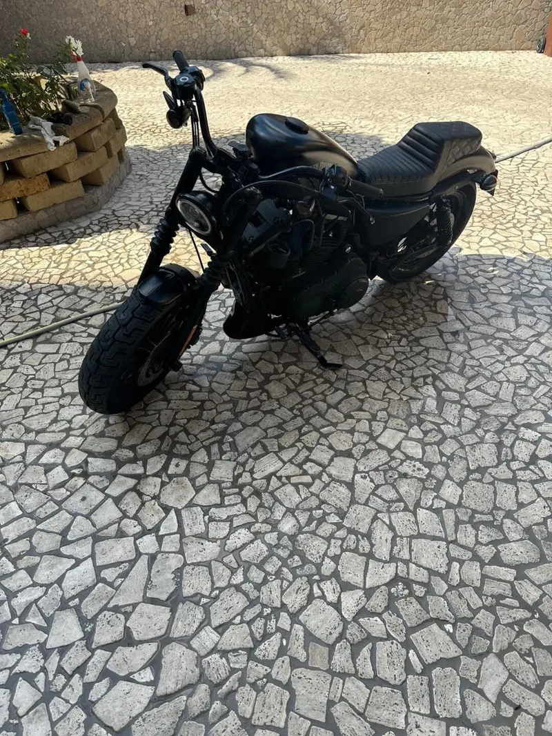 Harley-Davidson 883 Iron (2012 - 14) - XL 883N (10)