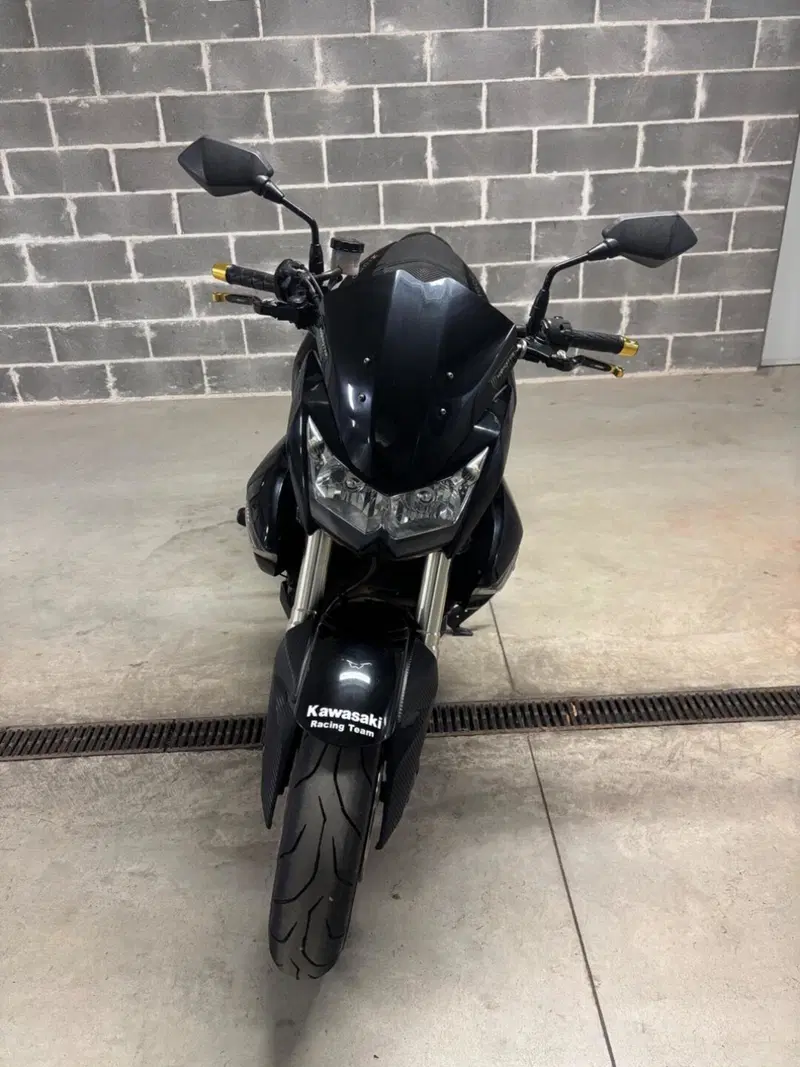 Kawasaki Z 1000 (2007 - 09) (4)
