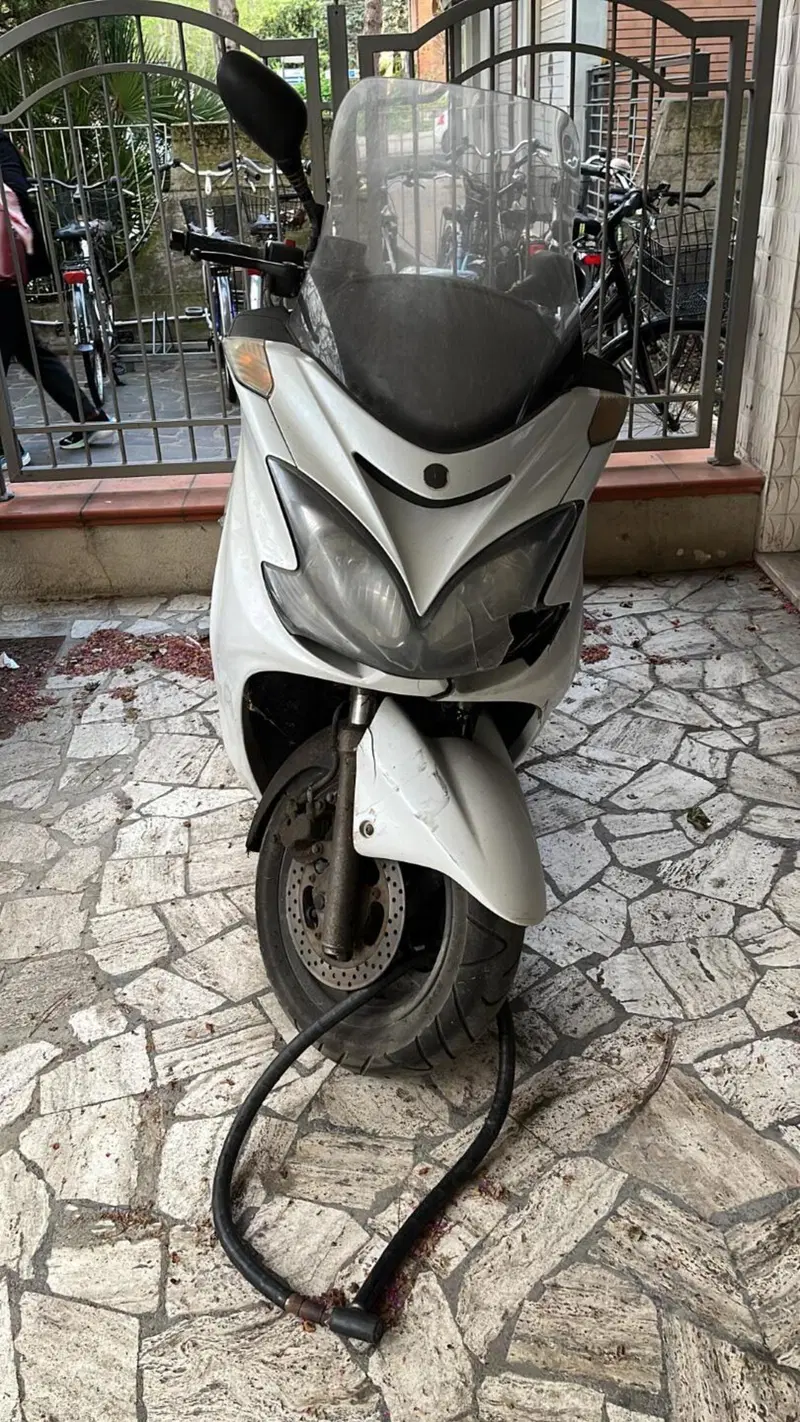 Yamaha Majesty 400 (2009 - 14) (4)