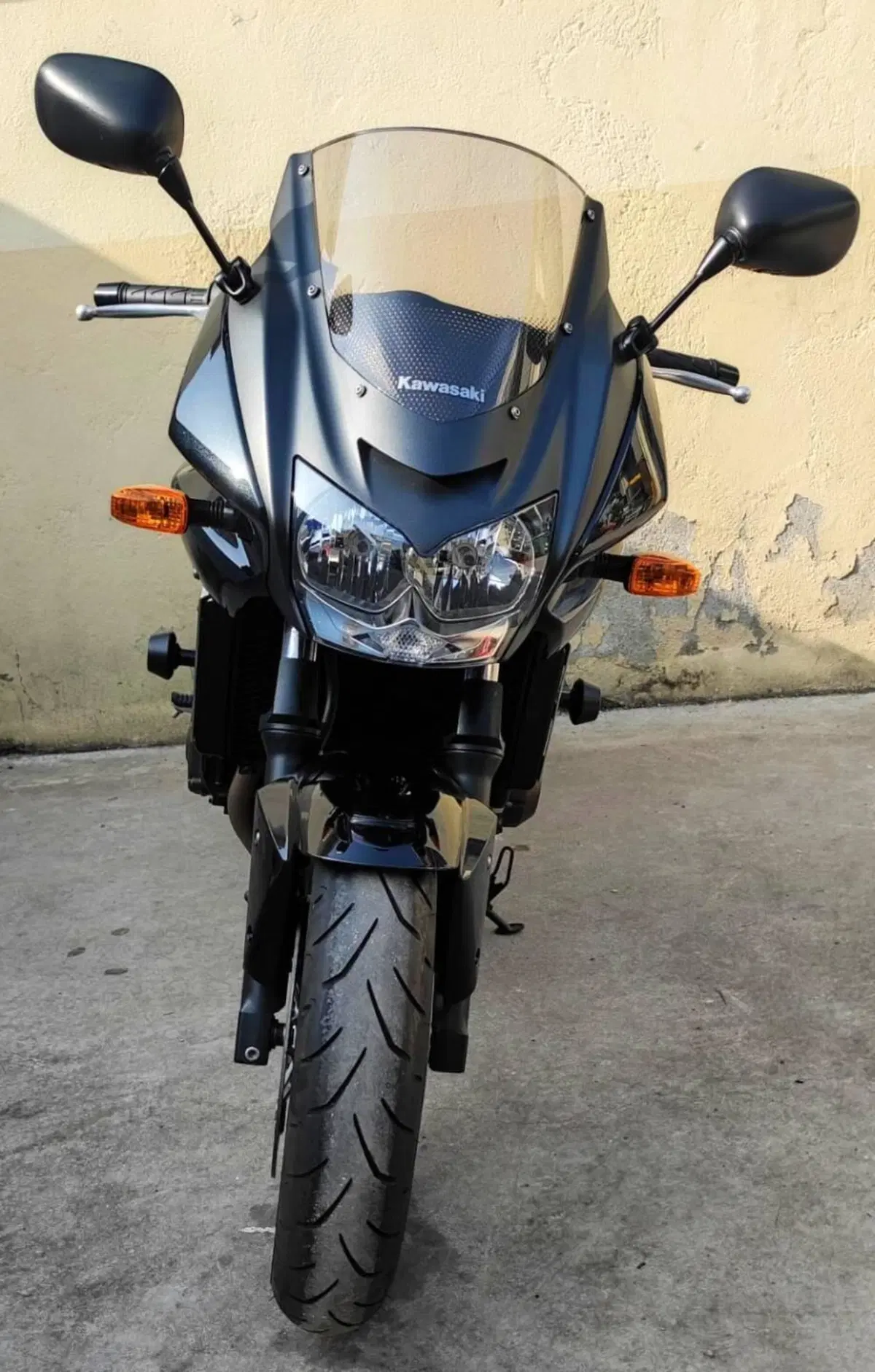 Kawasaki Z 750 (2003 - 06)