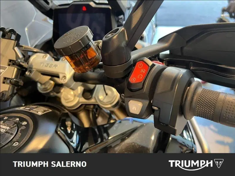 Triumph Tiger 1200 Rally Explorer (2022 - 23) (11)