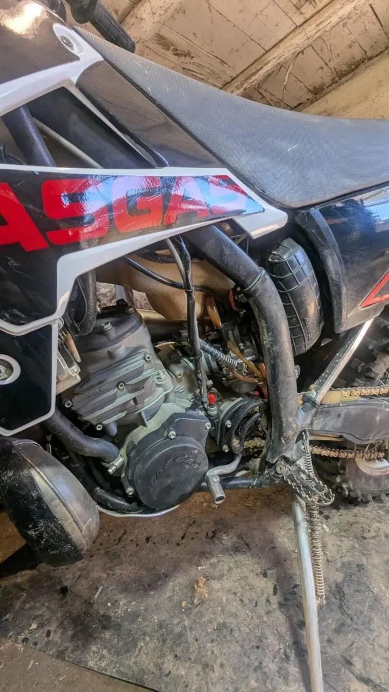 GASGAS EC 300 (2009) (3)