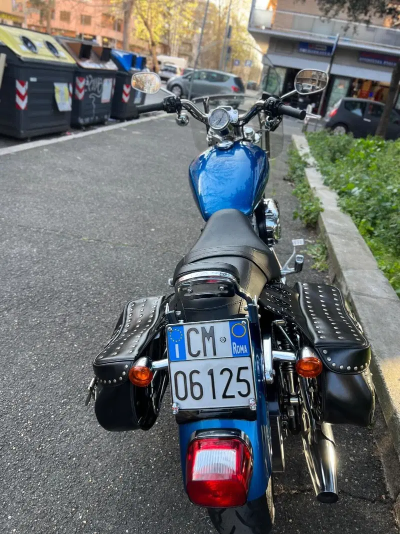 Harley-Davidson Sportster xc custom carburatori  (3)
