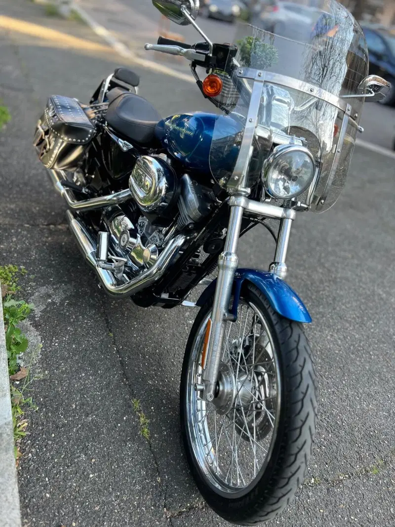 Harley-Davidson Sportster xc custom carburatori  (4)