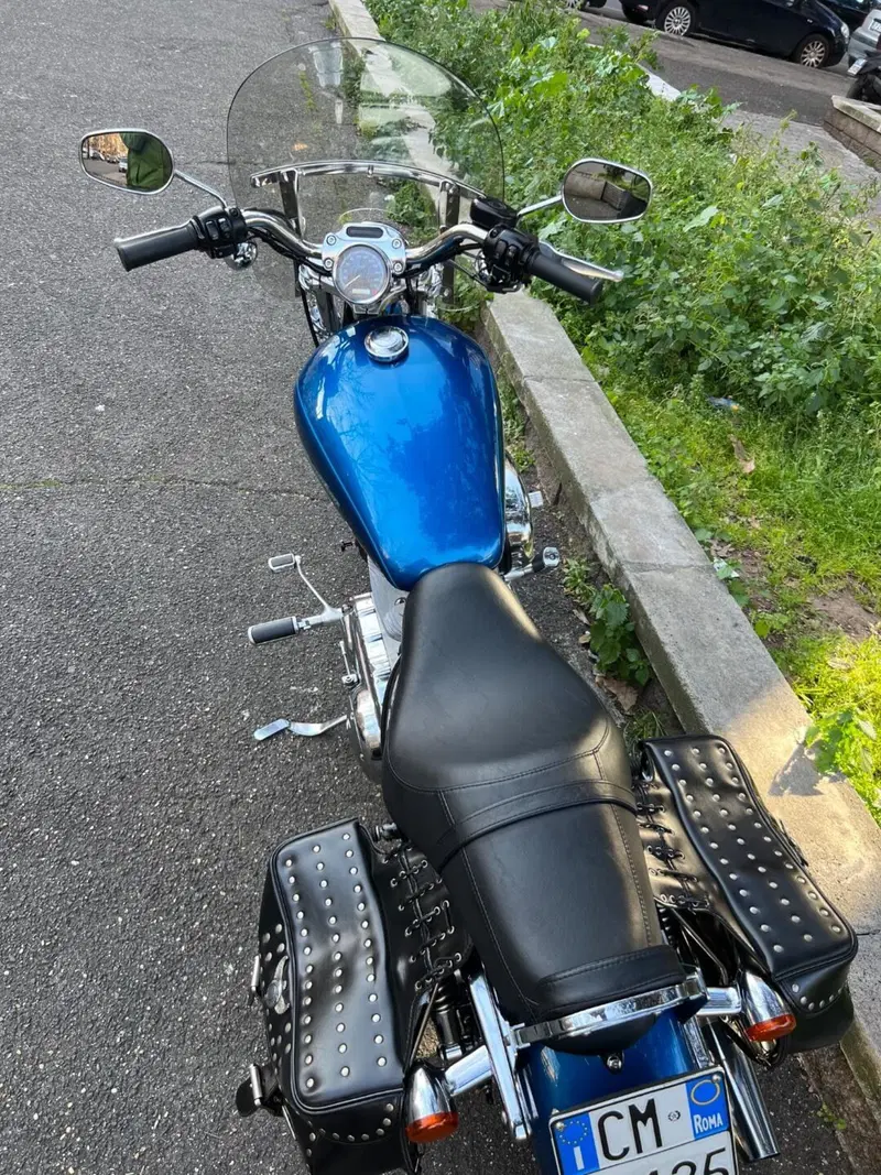 Harley-Davidson Sportster xc custom carburatori  (5)