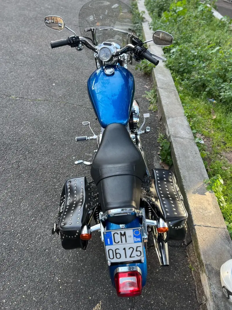 Harley-Davidson Sportster xc custom carburatori  (8)