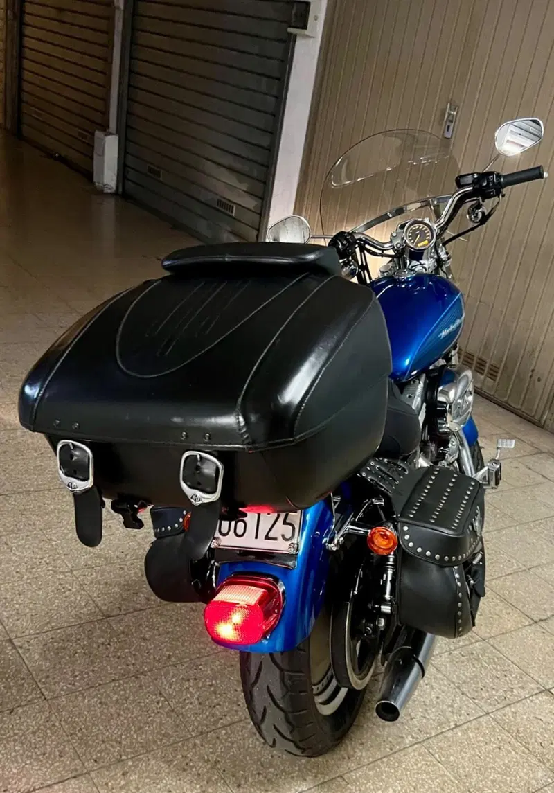 Harley-Davidson Sportster xc custom carburatori  (15)