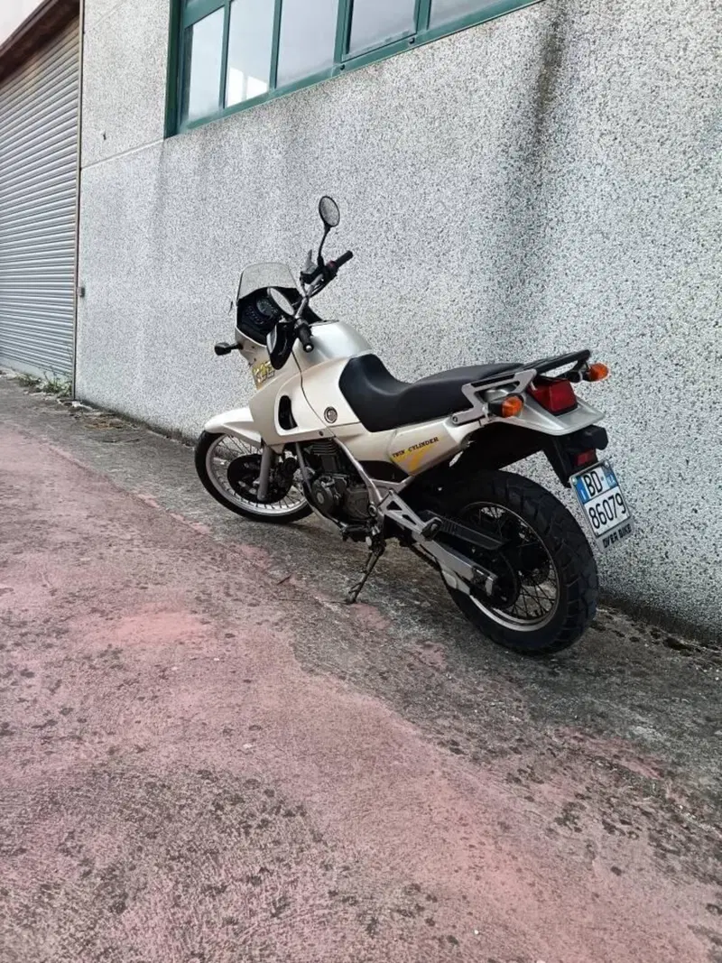 Kawasaki KLE 500 (2001 - 04) (6)