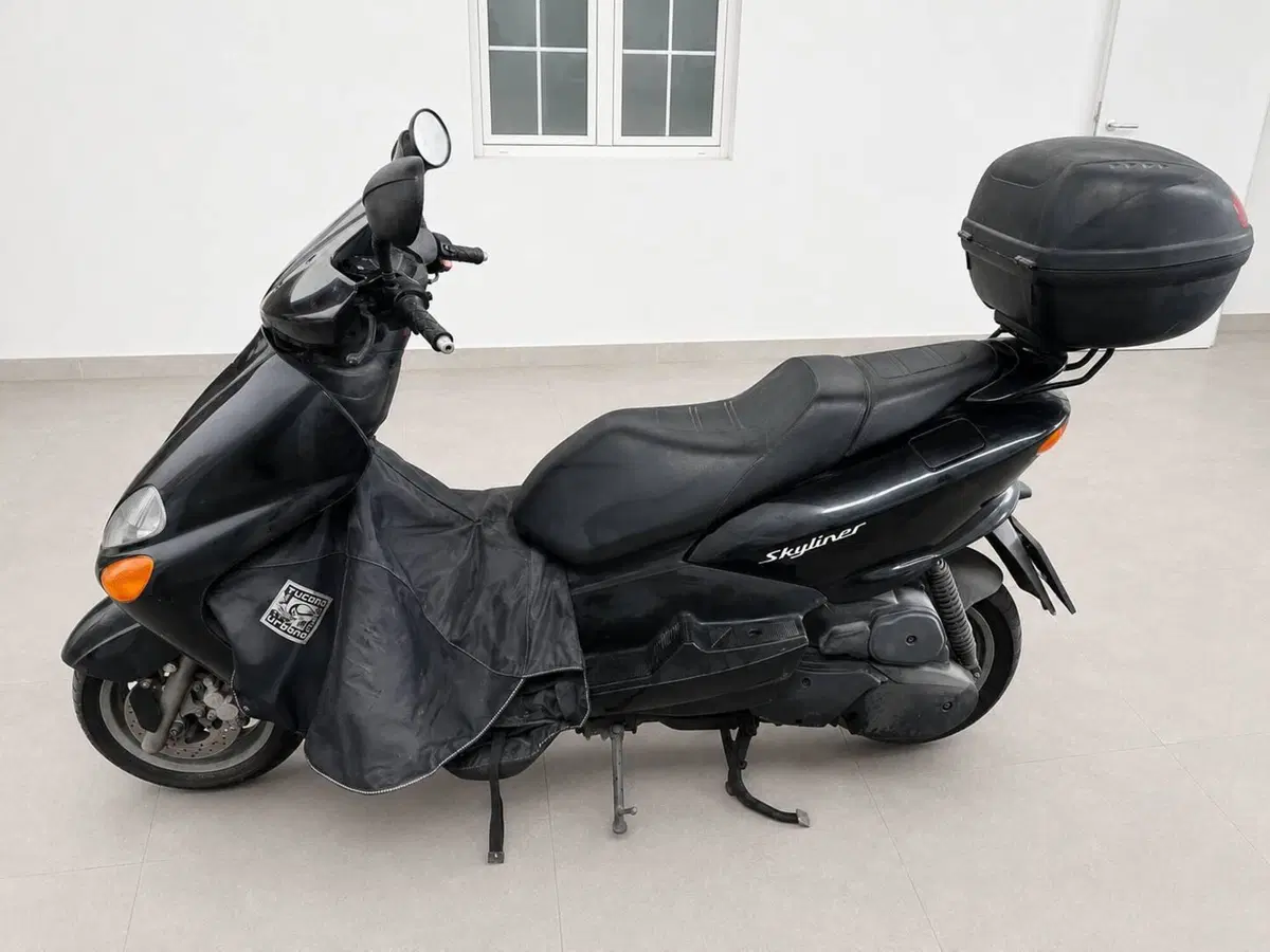 Mbk Skyliner 125 (2)