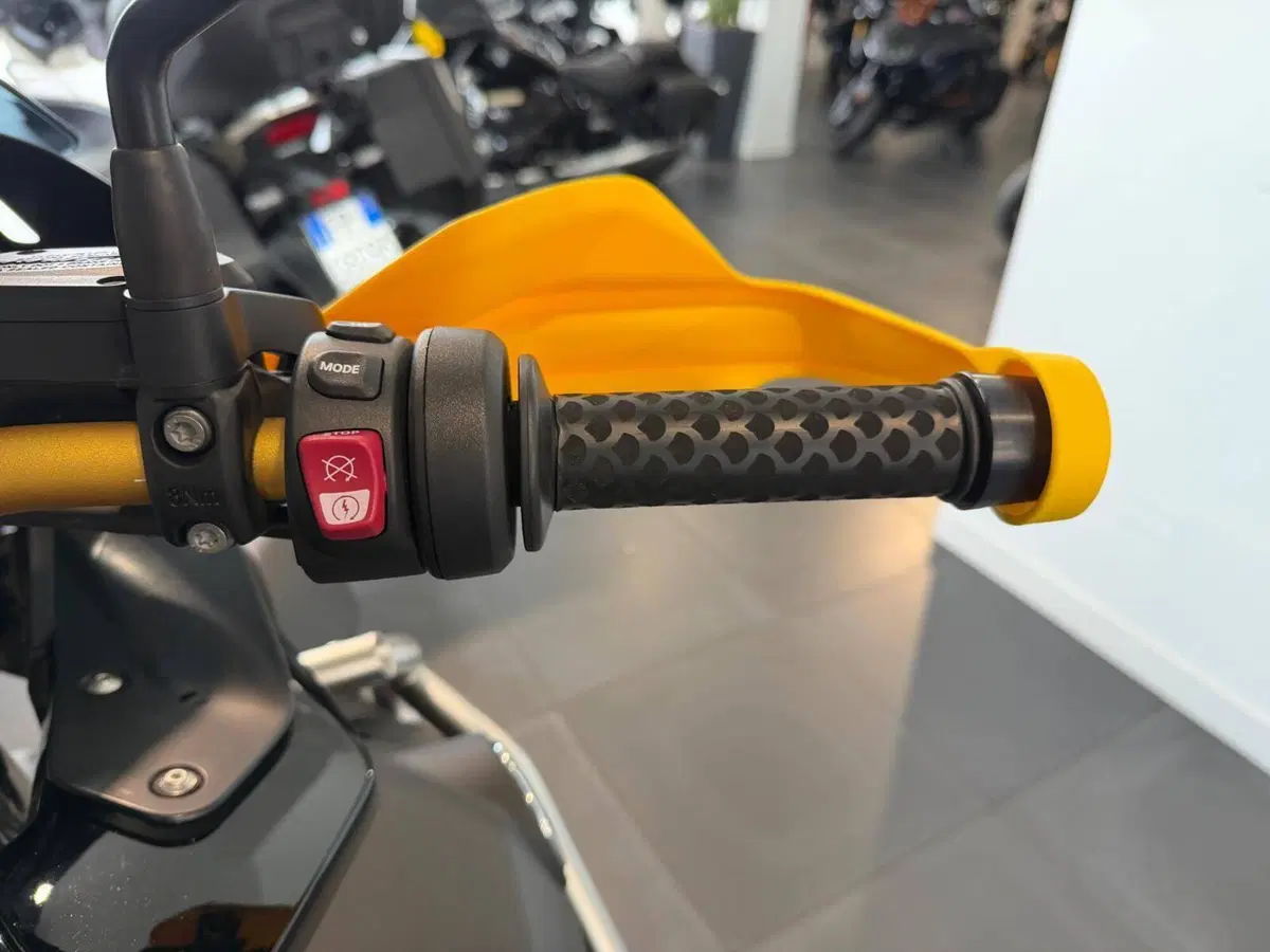 Bmw R 1250 GS Adventure - Edition 40 Years GS (2020 - 21) (5)