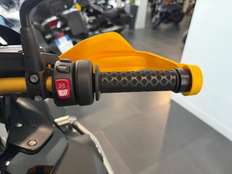 Bmw R 1250 GS Adventure - Edition 40 Years GS (2020 - 21) (5)