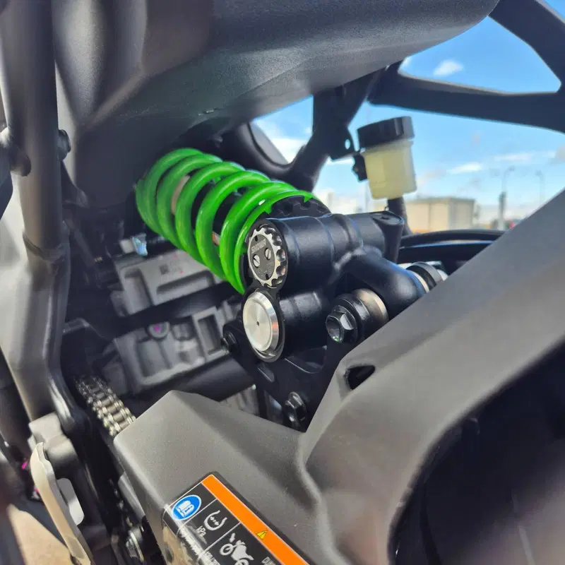 Kawasaki Ninja ZX-4RR (2024 - 26) (7)