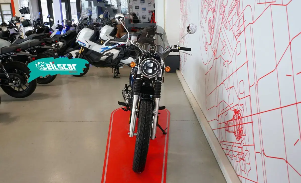 Mash Italia Six Hundred 650 (2021 - 25) (2)