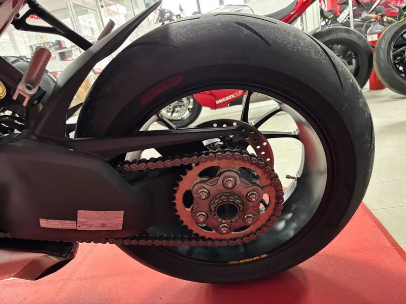 Ducati Streetfighter V4 S (2023 - 24) (7)