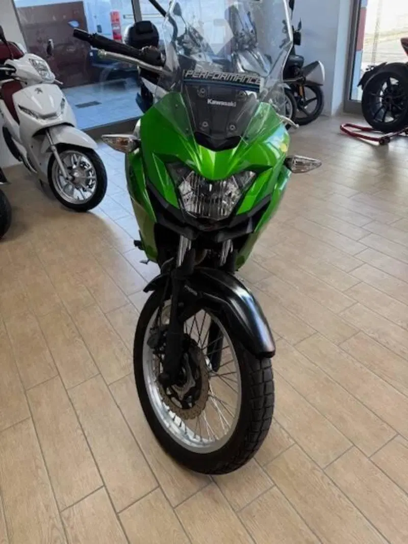 Kawasaki Versys-X 300 (2017 - 20) (3)