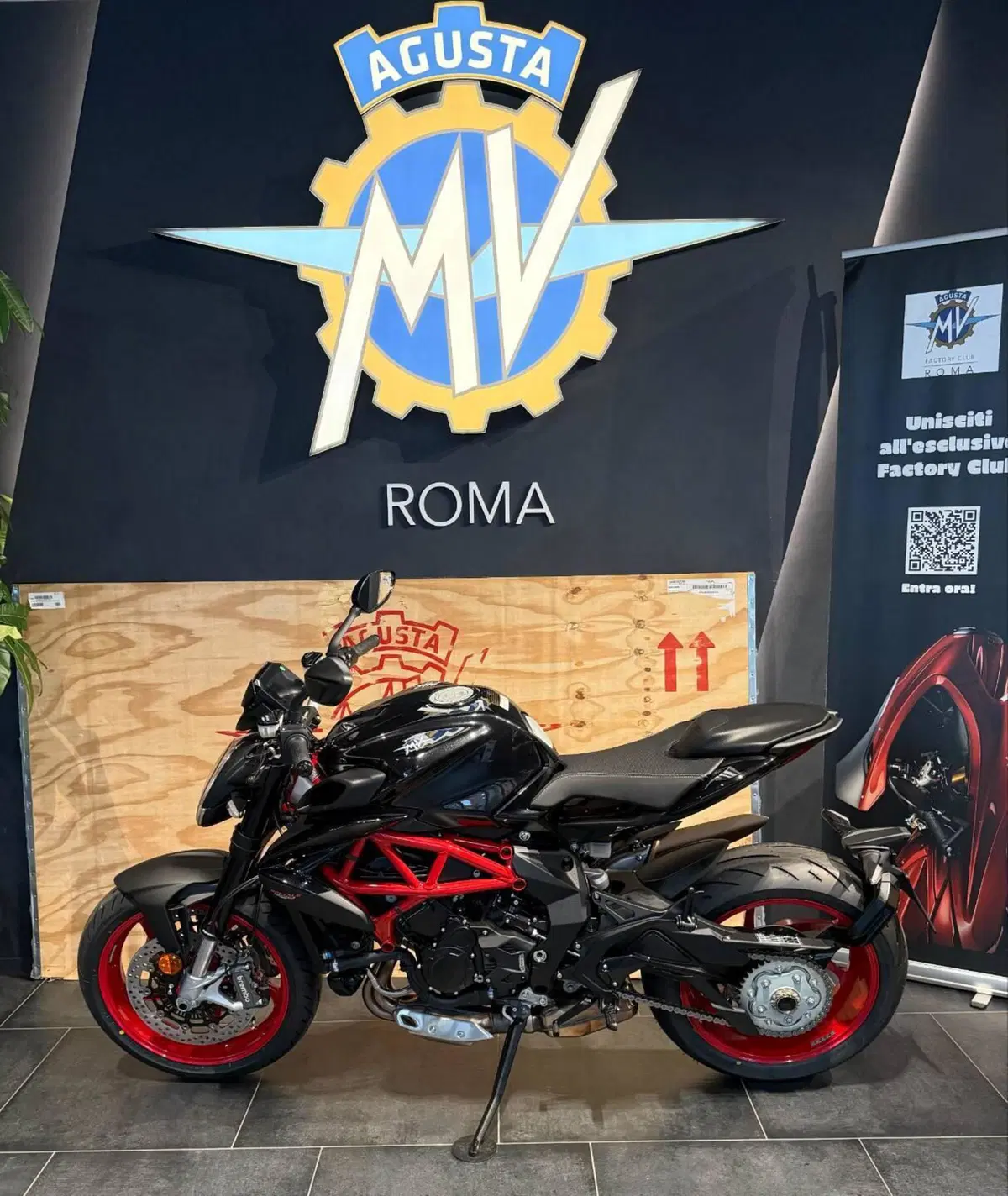 MV Agusta Brutale 800 (2026) (2)