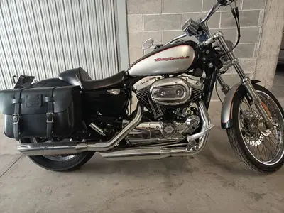 Harley-Davidson 1200 Custom (2004 - 06) - XL 1200C usata