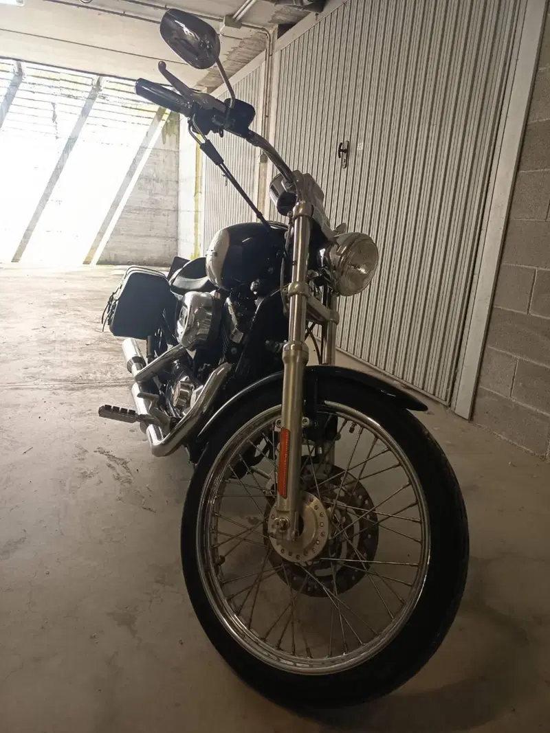 Harley-Davidson 1200 Custom (2004 - 06) - XL 1200C (5)