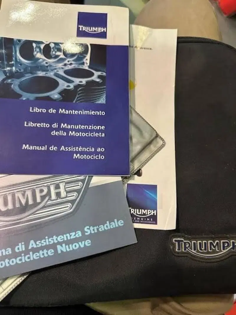 Triumph Speed Triple 1050 ABS (2011 - 15) (2)