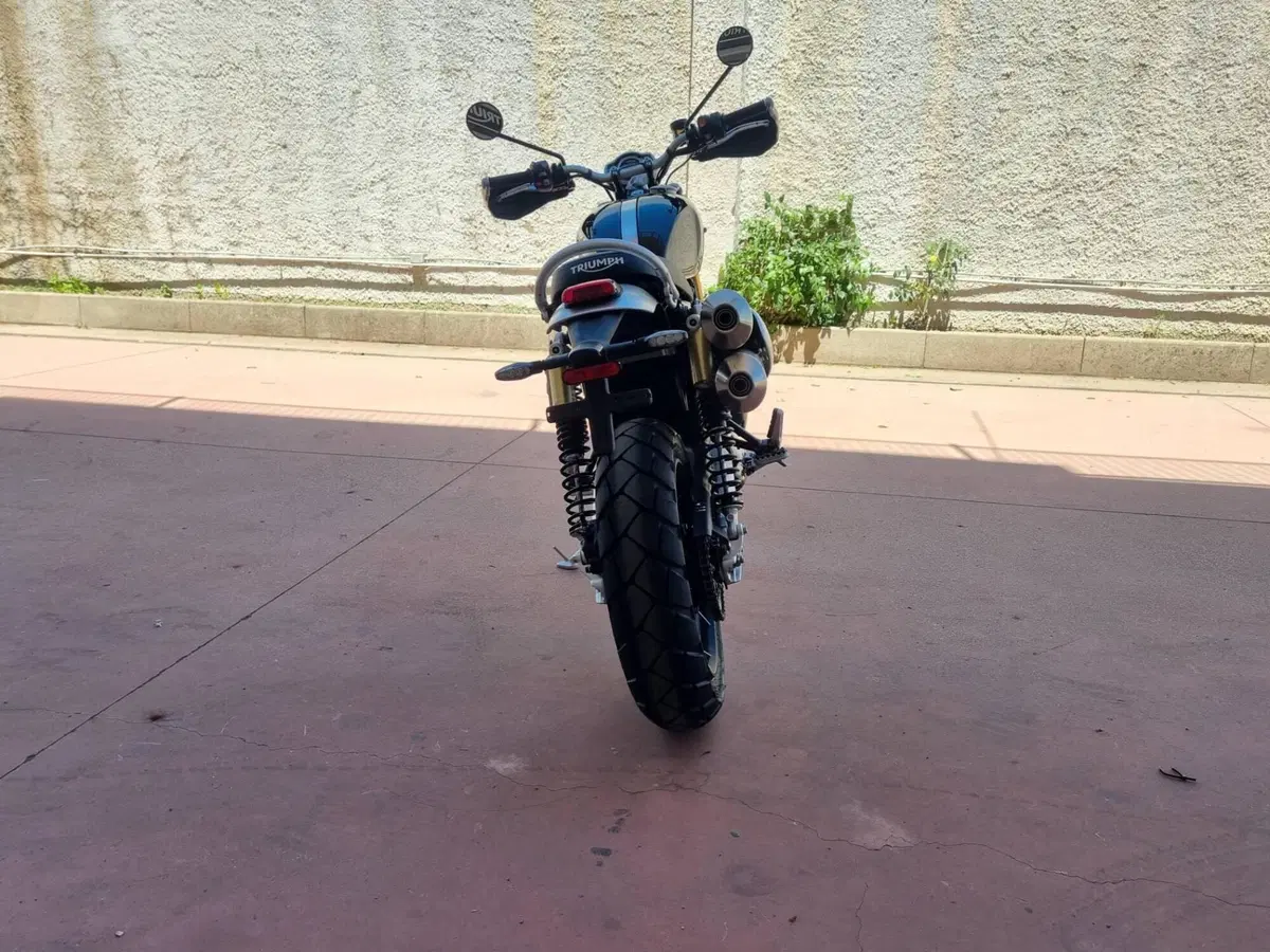 Triumph Scrambler 1200 XE (2024 - 25) (11)