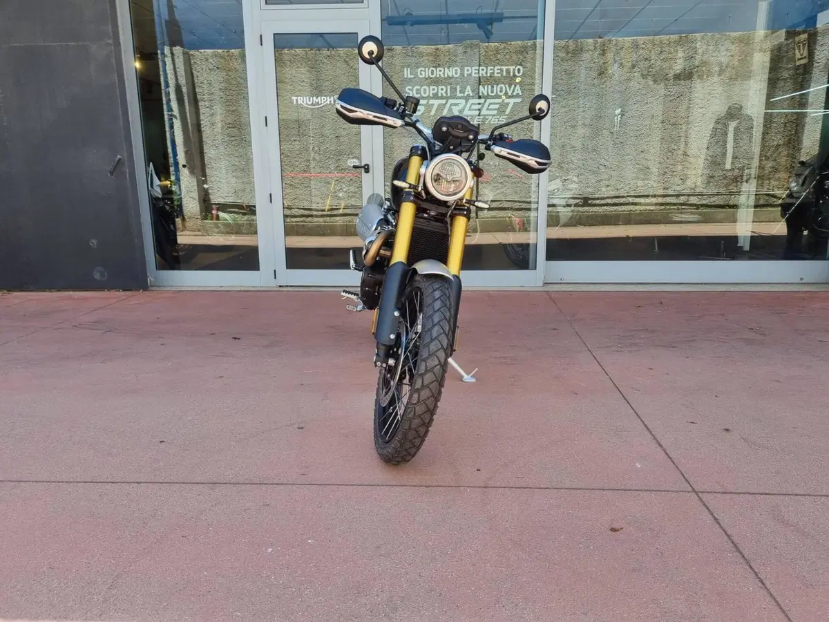 Triumph Scrambler 1200 XE (2024 - 25) (13)