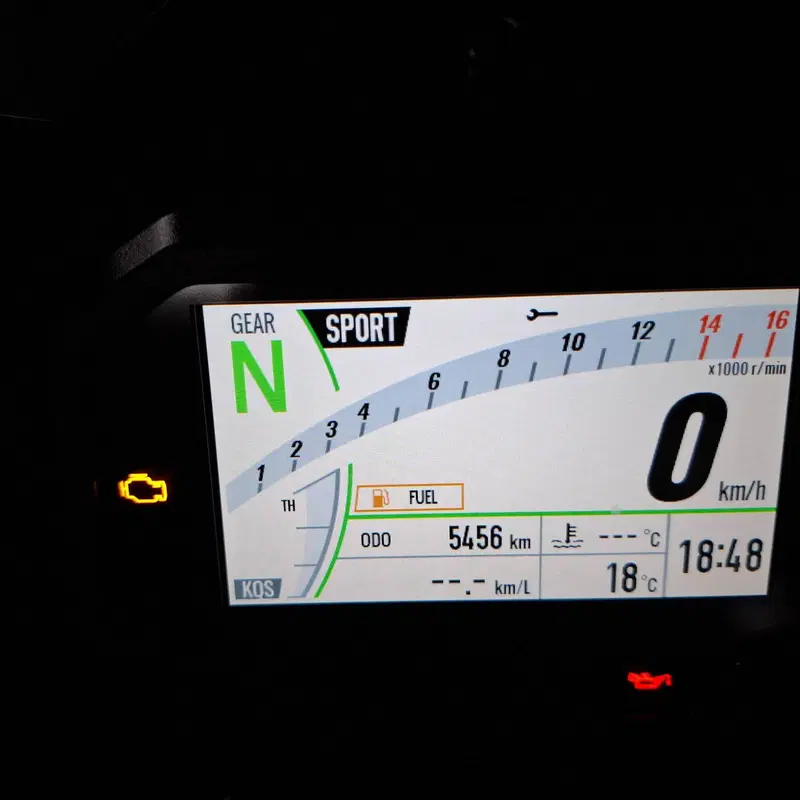 Kawasaki Ninja 1000 ZX-10R Performance (2021 - 24) (4)