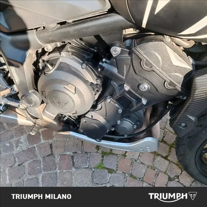 Triumph Trident 660 (2021 - 24) (3)