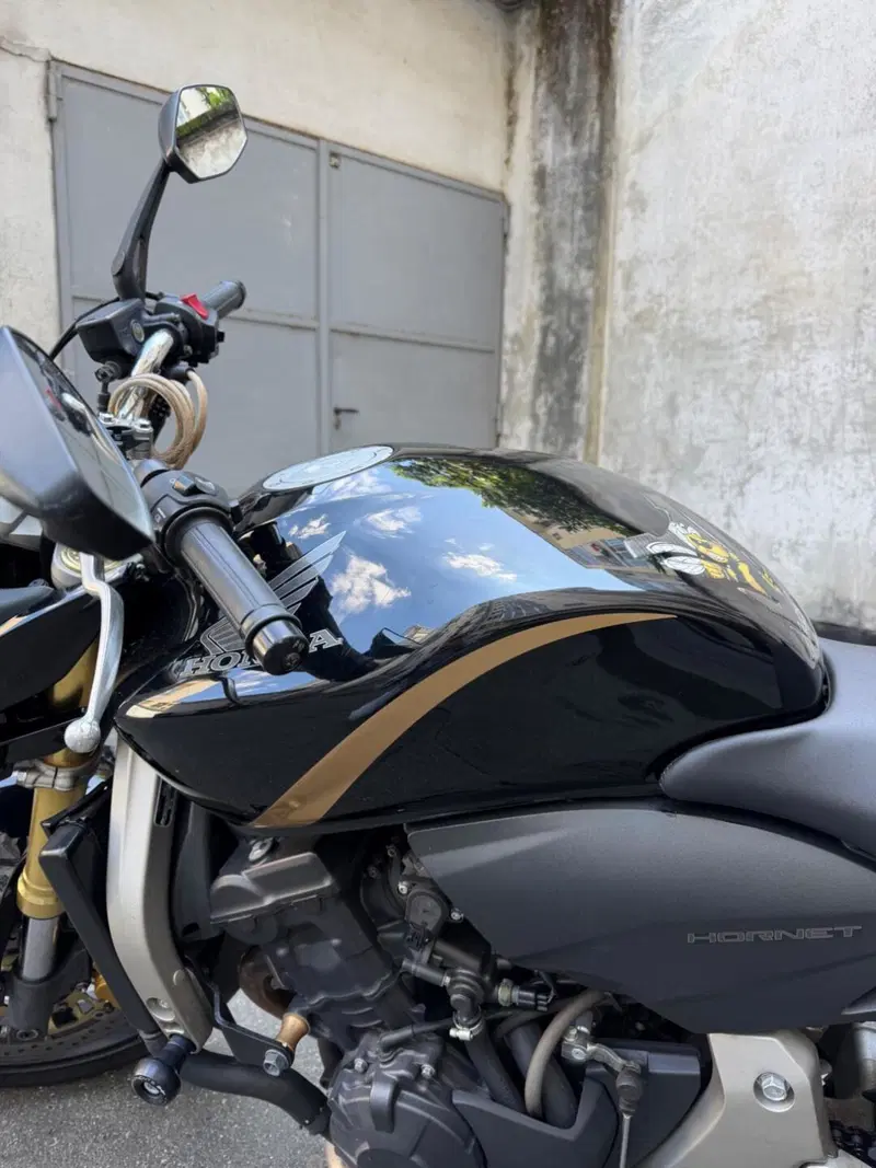 Honda Hornet 600 (2007 - 10) (5)