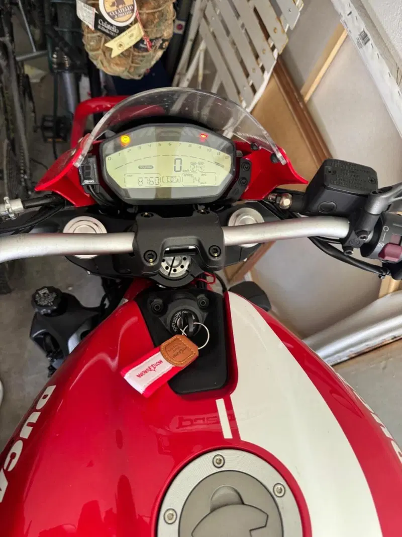 Ducati Monster 821 Stripe ABS (2015 - 17) (4)