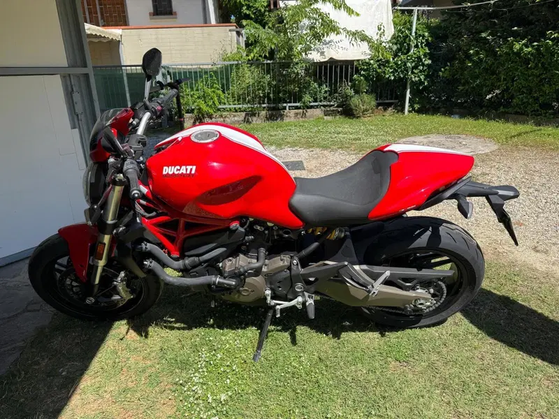 Ducati Monster 821 Stripe ABS (2015 - 17) (2)