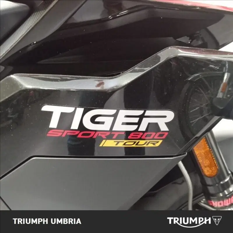 Triumph Tiger Sport 800 Tour (2026) (4)