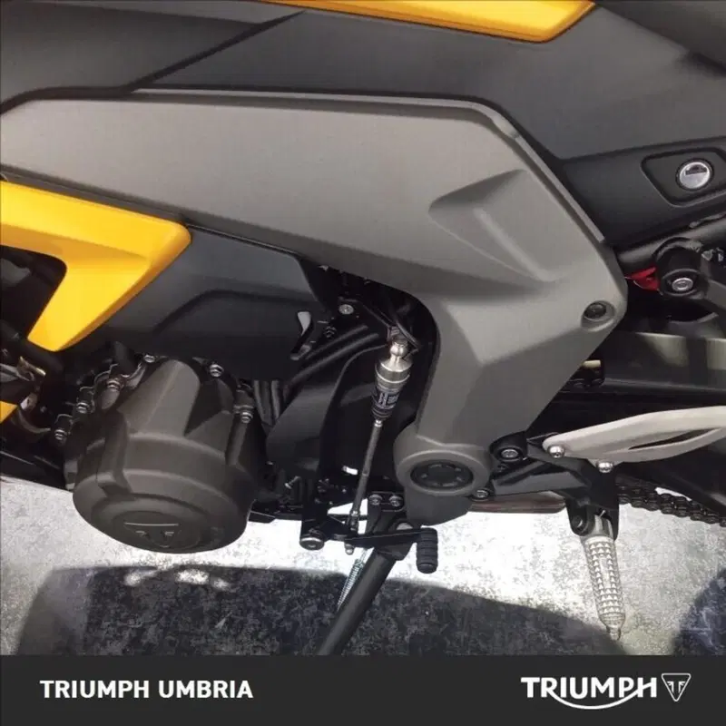 Triumph Daytona 660 (2024 - 26) (3)