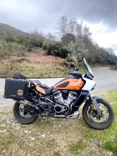 Harley-Davidson Pan America 1250 Special (2020 - 25) usata