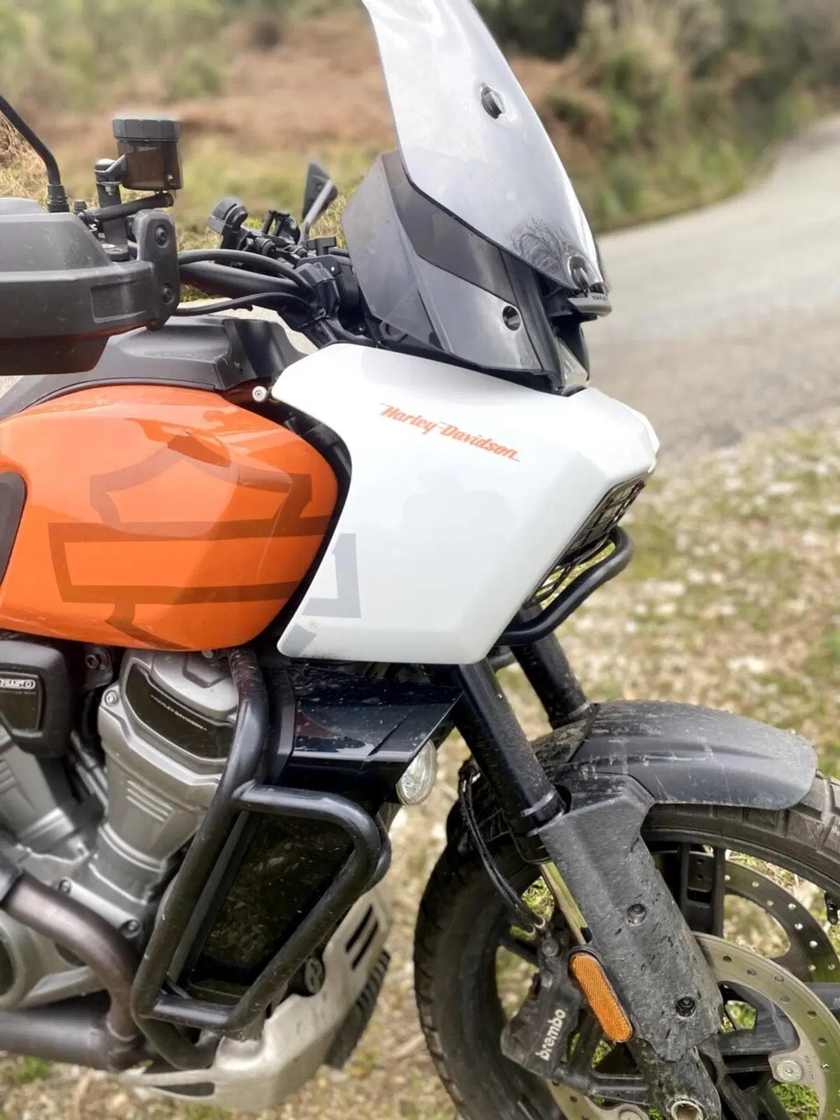 Harley-Davidson Pan America 1250 Special (2020 - 25) (7)