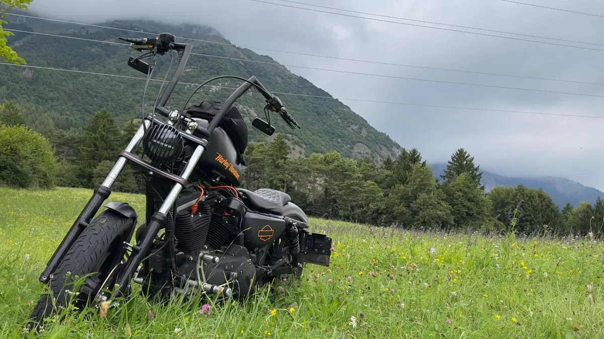 Harley-Davidson 883 Custom (2008 - 12) - XL 883C