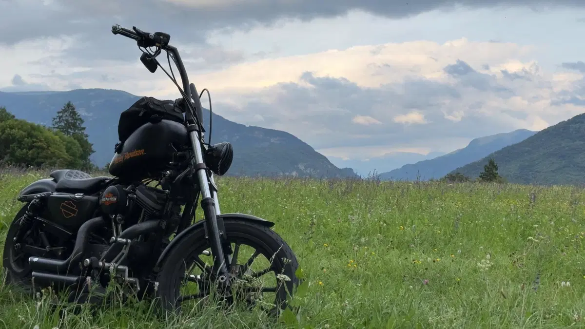 Harley-Davidson 883 Custom (2008 - 12) - XL 883C (2)