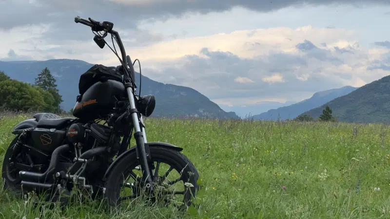 Harley-Davidson 883 Custom (2008 - 12) - XL 883C (2)