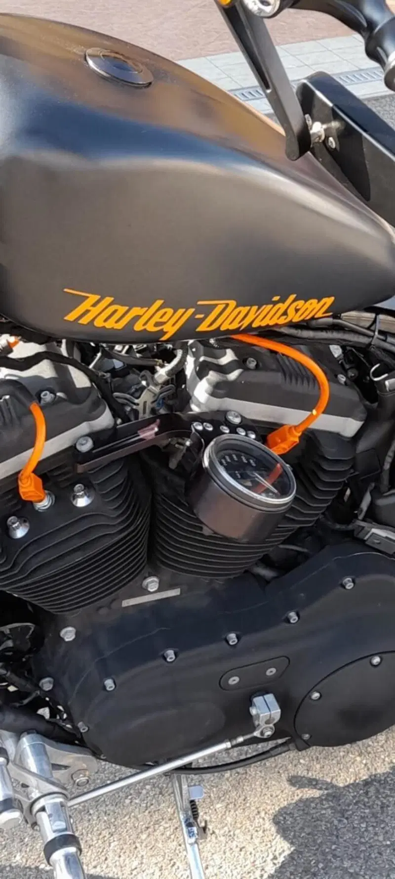 Harley-Davidson 883 Custom (2008 - 12) - XL 883C (5)