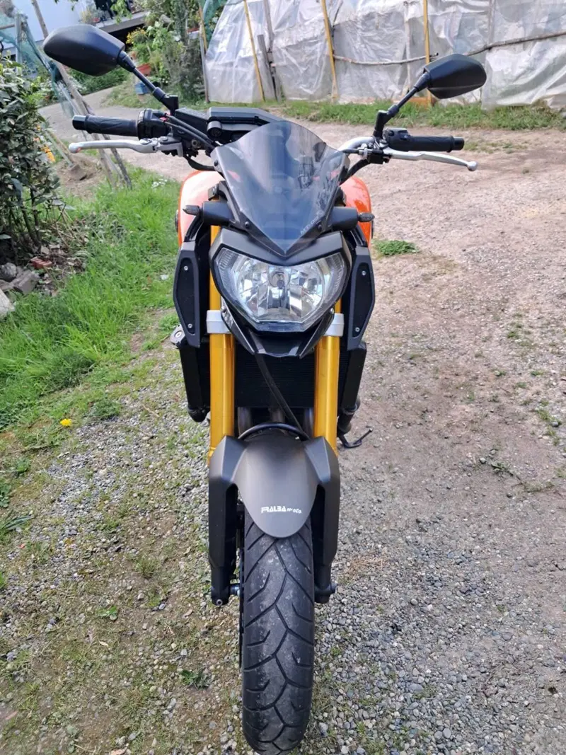 Yamaha MT-09 (2013 - 15) (3)