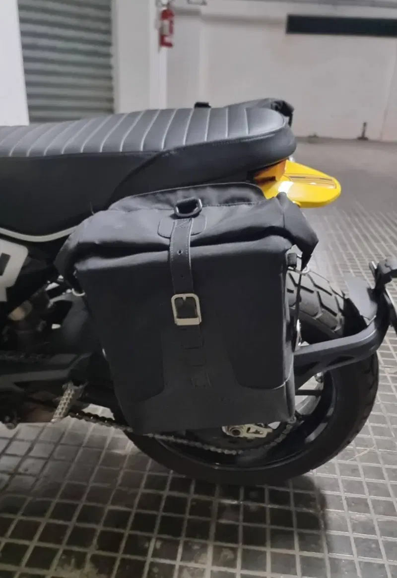 Ducati Scrambler 800 Icon (2023 - 24) (4)
