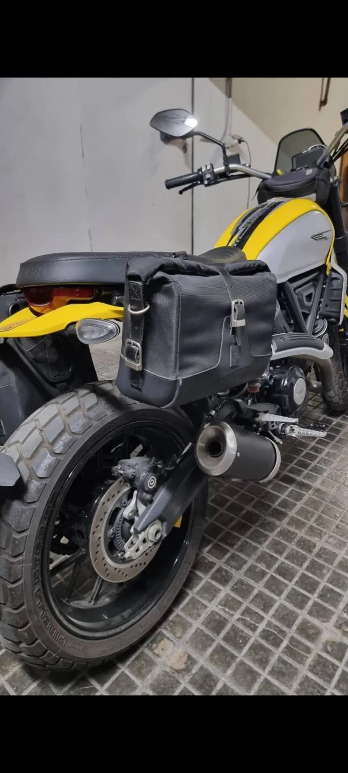 Ducati Scrambler 800 Icon (2023 - 24) (6)