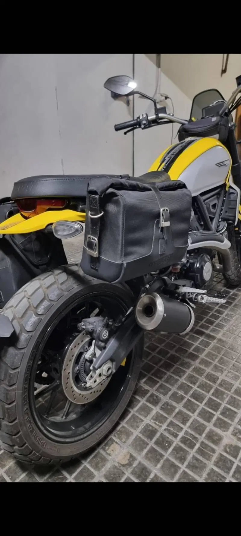 Ducati Scrambler 800 Icon (2023 - 24) (6)