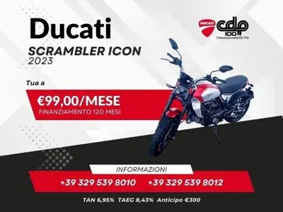 Ducati Scrambler 800 Icon (2023 - 24) usata