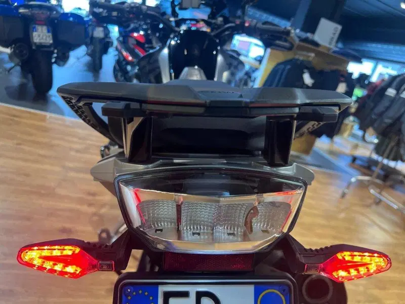Bmw R 1250 GS (2021 - 24) (9)