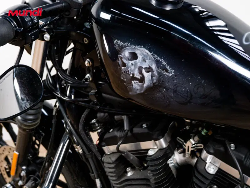 Harley-Davidson 883 Iron (2012 - 14) - XL 883N (19)